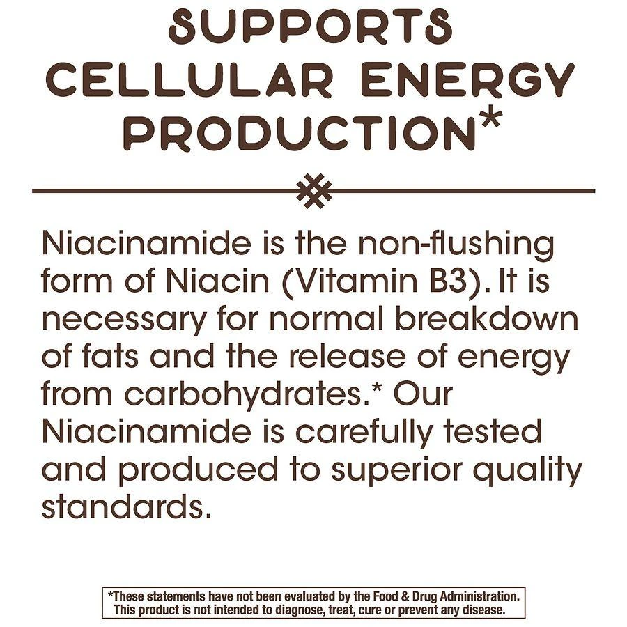 Niacinamide Non-Flushing Capsules 商品