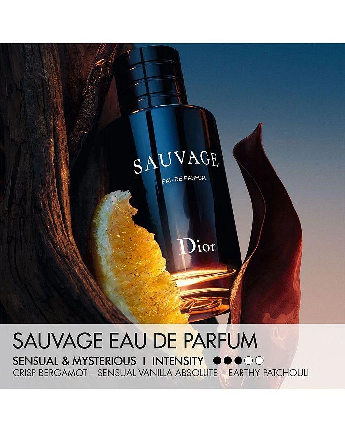 商品Dior|Sauvage Eau de Parfum,价格¥666,第4张图片详细描述