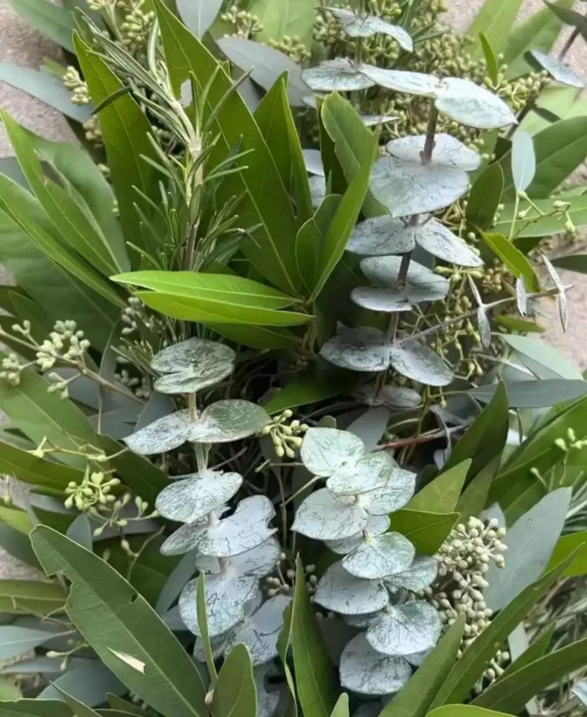商品GreenishBlu|Fresh Real Garland Eucalyptus Bayleaf and Rosemary Spring Garland,价格¥762,第2张图片详细描述