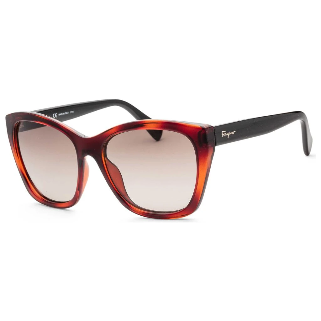 商品Salvatore Ferragamo|Ferragamo Women's Sunglasses SF957S-214,价格¥487,第1张图片