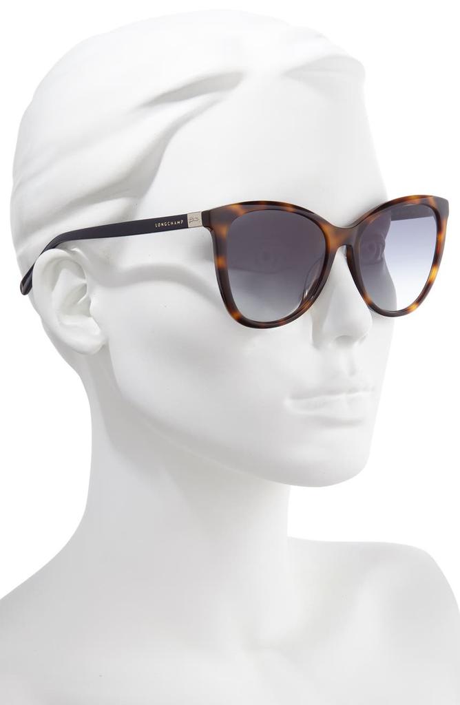 Le Pliage 55mm Gradient Cat Eye Sunglasses商品第2张图片规格展示