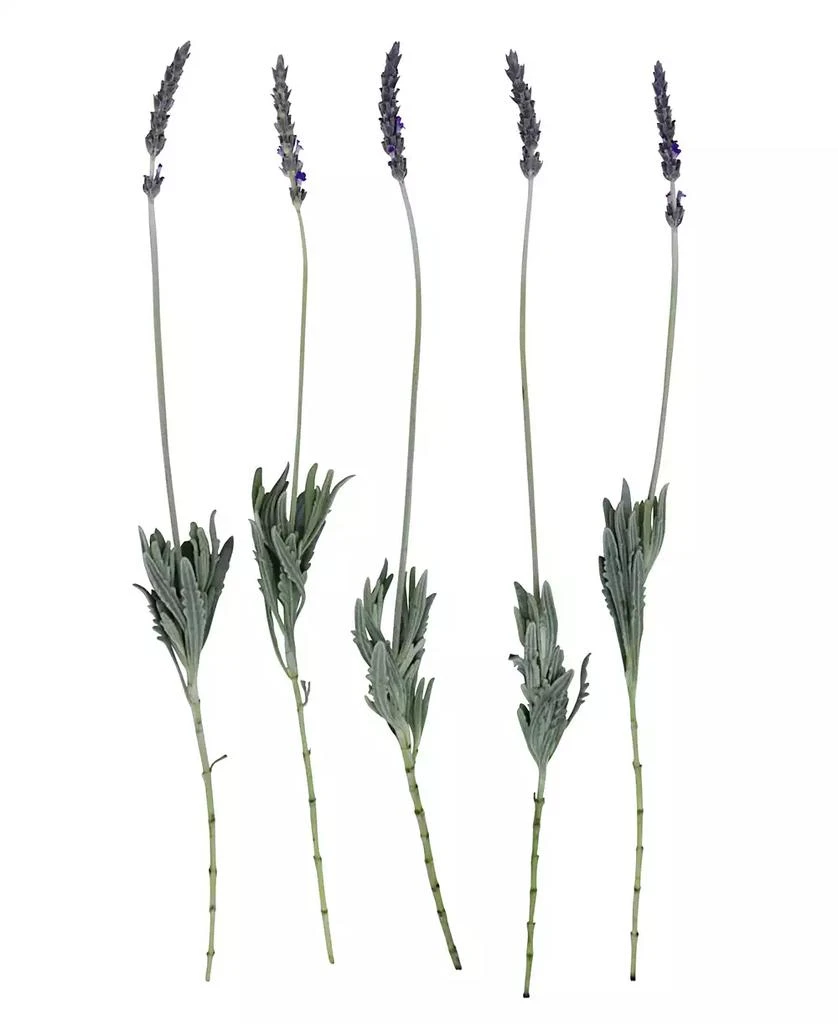 商品Magnolia Supply Co|Fresh English Lavender Bundle,价格¥299,第2张图片详细描述