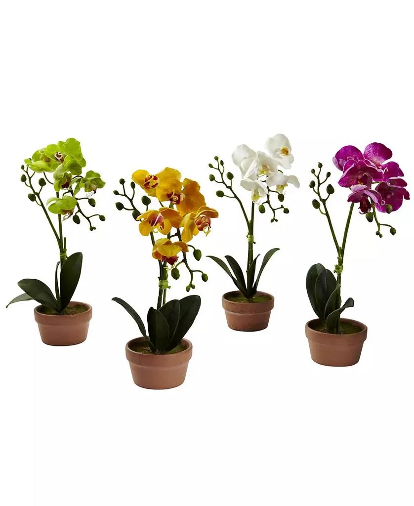 商品NEARLY NATURAL|4-Pc. Phalaenopsis Orchid Set with Clay Vases,价格¥389,第1张图片