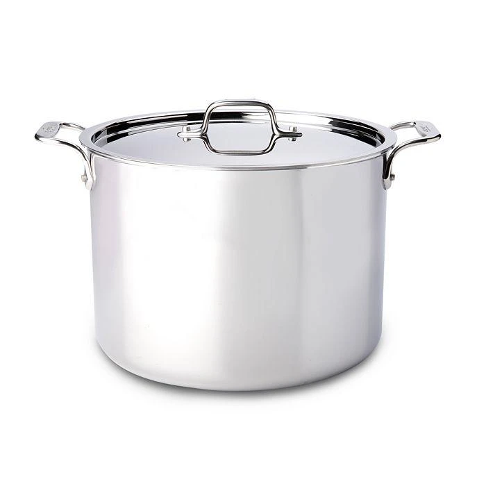 商品All-Clad|Stainless Steel 12-Quart Stock Pot with Lid,价格¥2990,第1张图片详细描述
