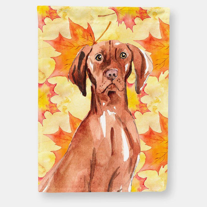 商品Caroline's Treasures|28 x 40 in. Polyester Fall Leaves Vizsla Flag Canvas House Size 2-Sided Heavyweight,价格¥329,第1张图片