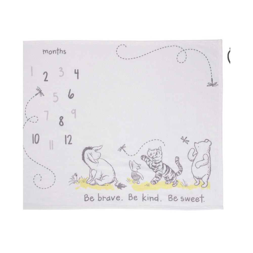 商品Macy's|Classic Winnie The Pooh Super Soft Milestone Baby Blanket Set, 2 Piece,价格¥583,第1张图片