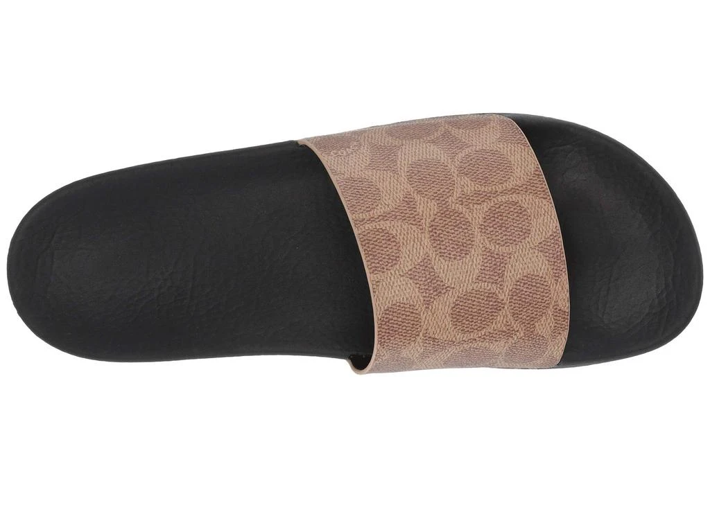 商品Coach|Udele Slide,价格¥714,第2张图片详细描述