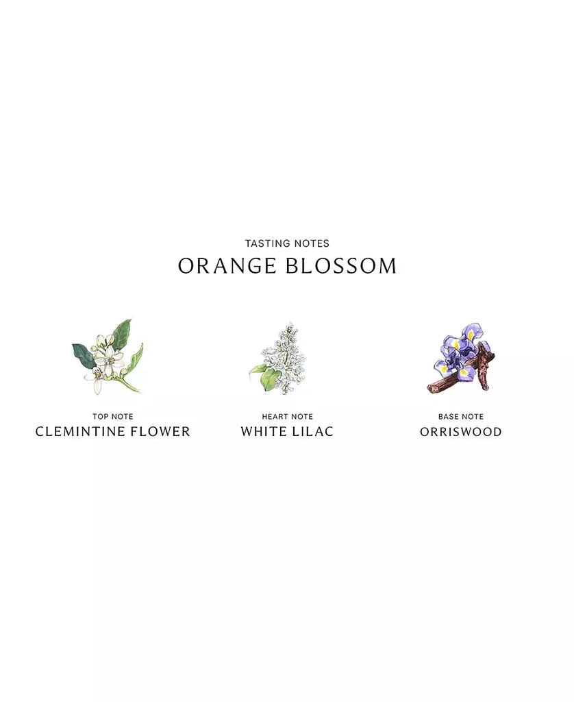 商品Jo Malone London|Orange Blossom Body & Hand Wash, 8.5-oz.,价格¥332,第2张图片详细描述