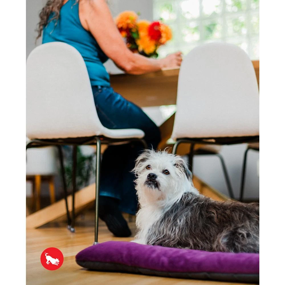 商品P.L.A.Y.|Chill Pad Pet Bed, Extra-Small,价格¥261,第2张图片详细描述
