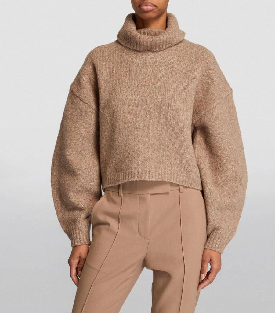 商品Helmut Lang|Cropped Rollneck Sweater,价格¥3156,第3张图片详细描述