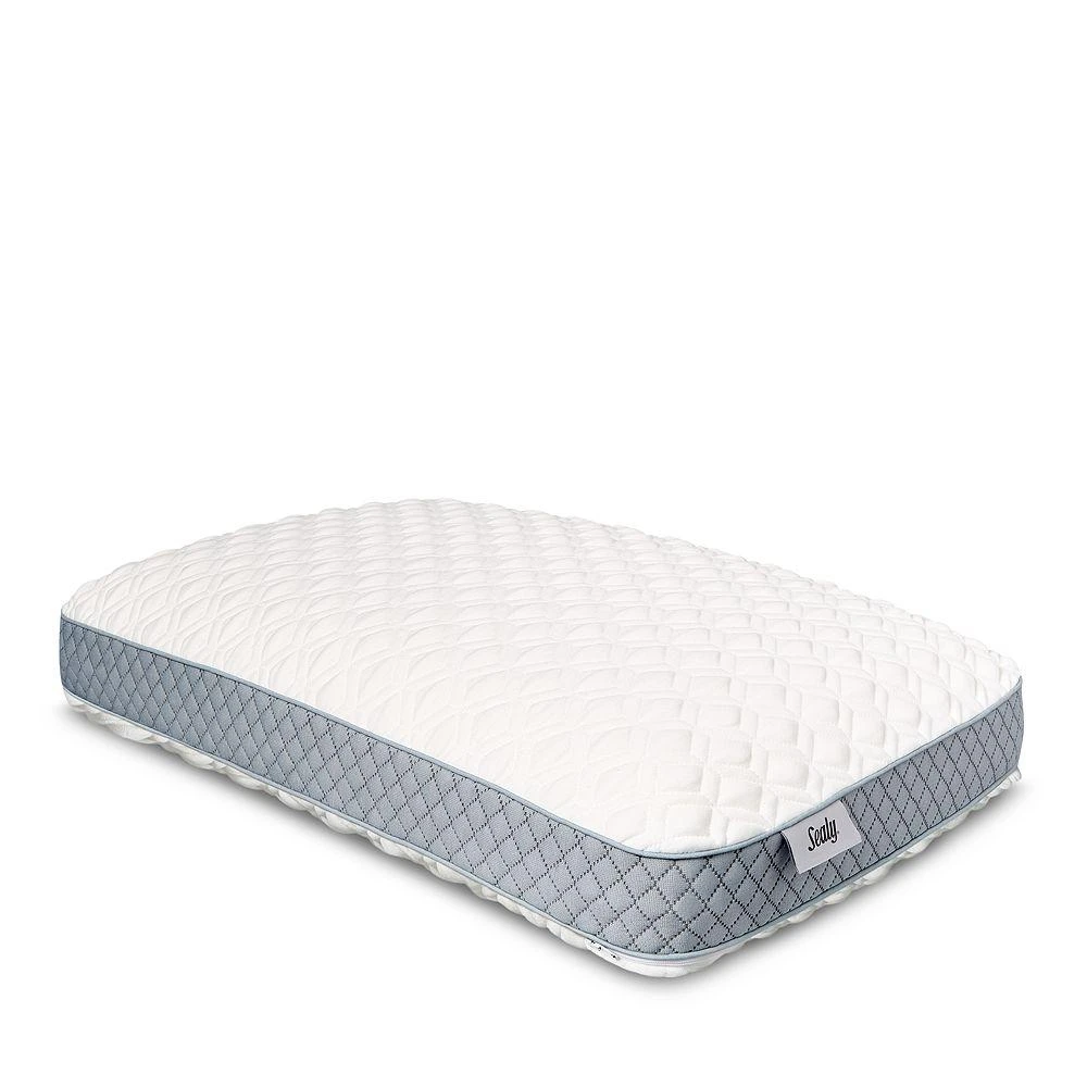 商品Sealy|Memory Foam Pillow with Gusset, Standard,价格¥446,第1张图片
