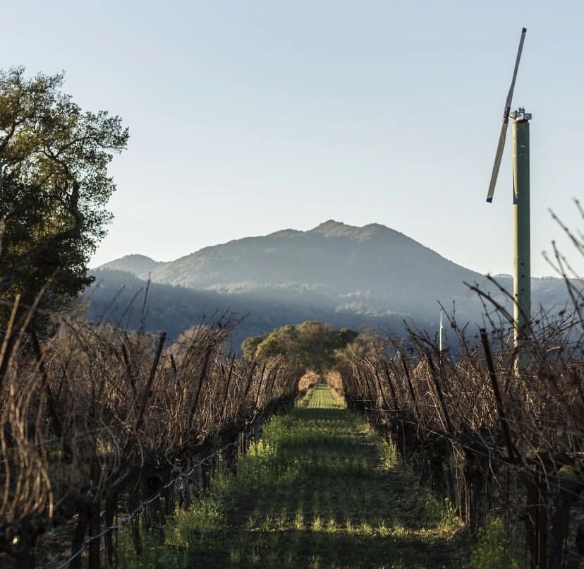 古力奇山庄纳帕谷仙粉黛干红葡萄酒 2017 | Grigich Hills Zinfandel 2017 (Napa Valley, CA)  商品