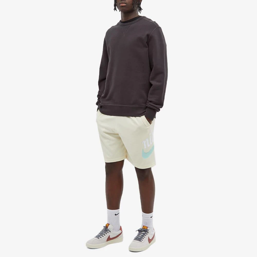 Nike SB Essentials Sunday Short 商品