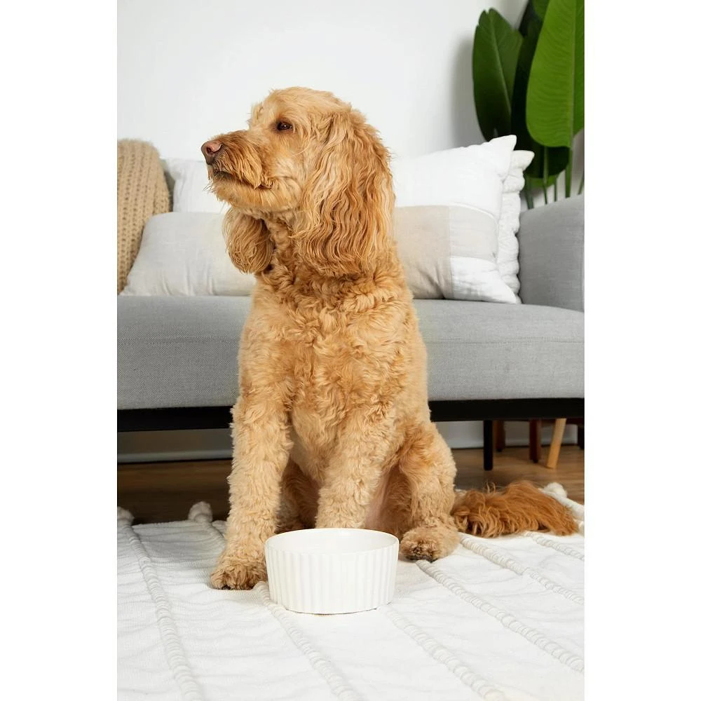商品Waggo|Ripple Dog Bowl White -,价格¥164,第2张图片详细描述