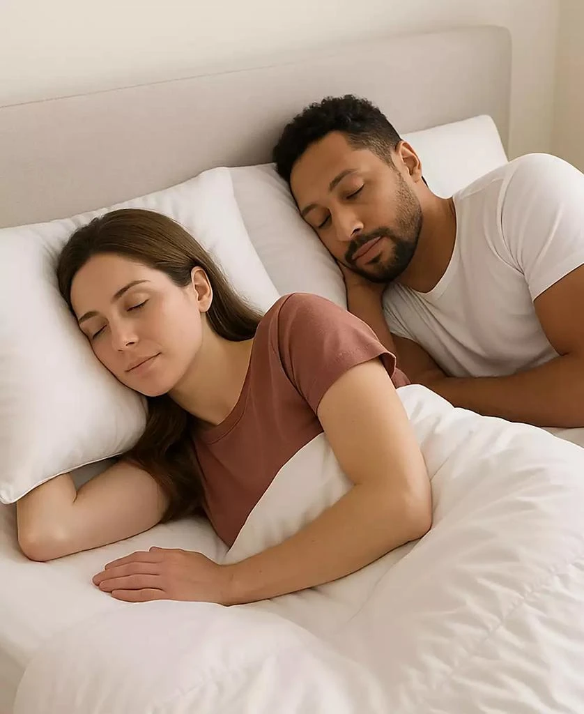 Gusseted Firm Plush Down Alternative Side/Back Sleeper 2-Pack Pillow, Standard 商品