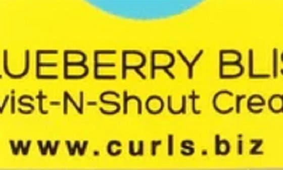 商品CURLS|Blueberry Bliss Twist 'n' Shout Cream,价格¥59,第2张图片详细描述