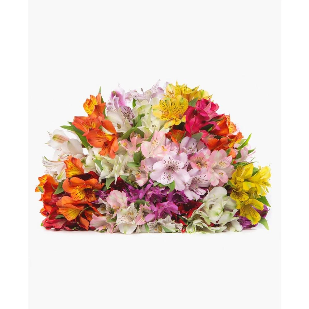 商品BloomsyBox|Assorted Alstroemeria Fresh Flower Bouquet,价格¥386,第1张图片