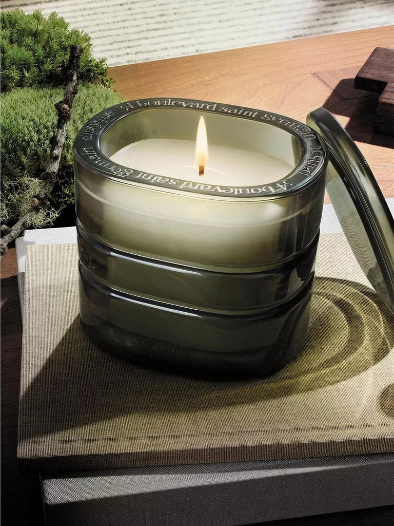 商品Diptyque|Temple des Mousses (Moss Temple) Refillable Candle,价格¥2136,第3张图片详细描述