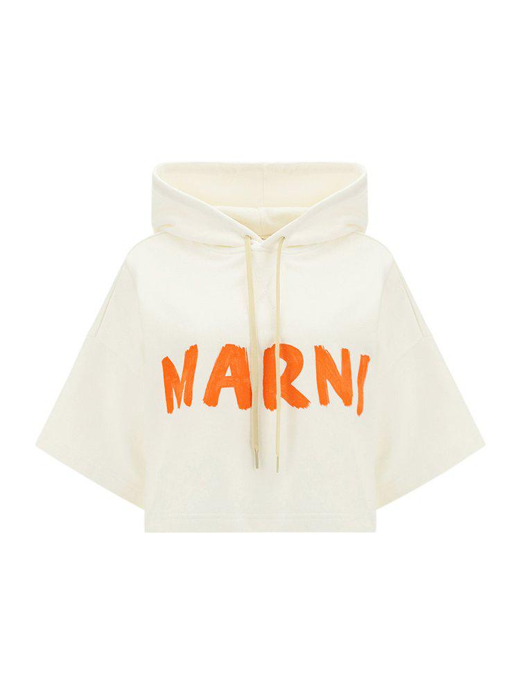 Marni Logo Printed Cropped Hoodie商品第1张图片规格展示