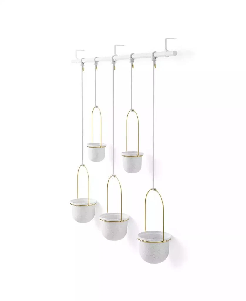 商品Umbra|Triflora Hanging Planter, Set of 5,价格¥1000,第1张图片