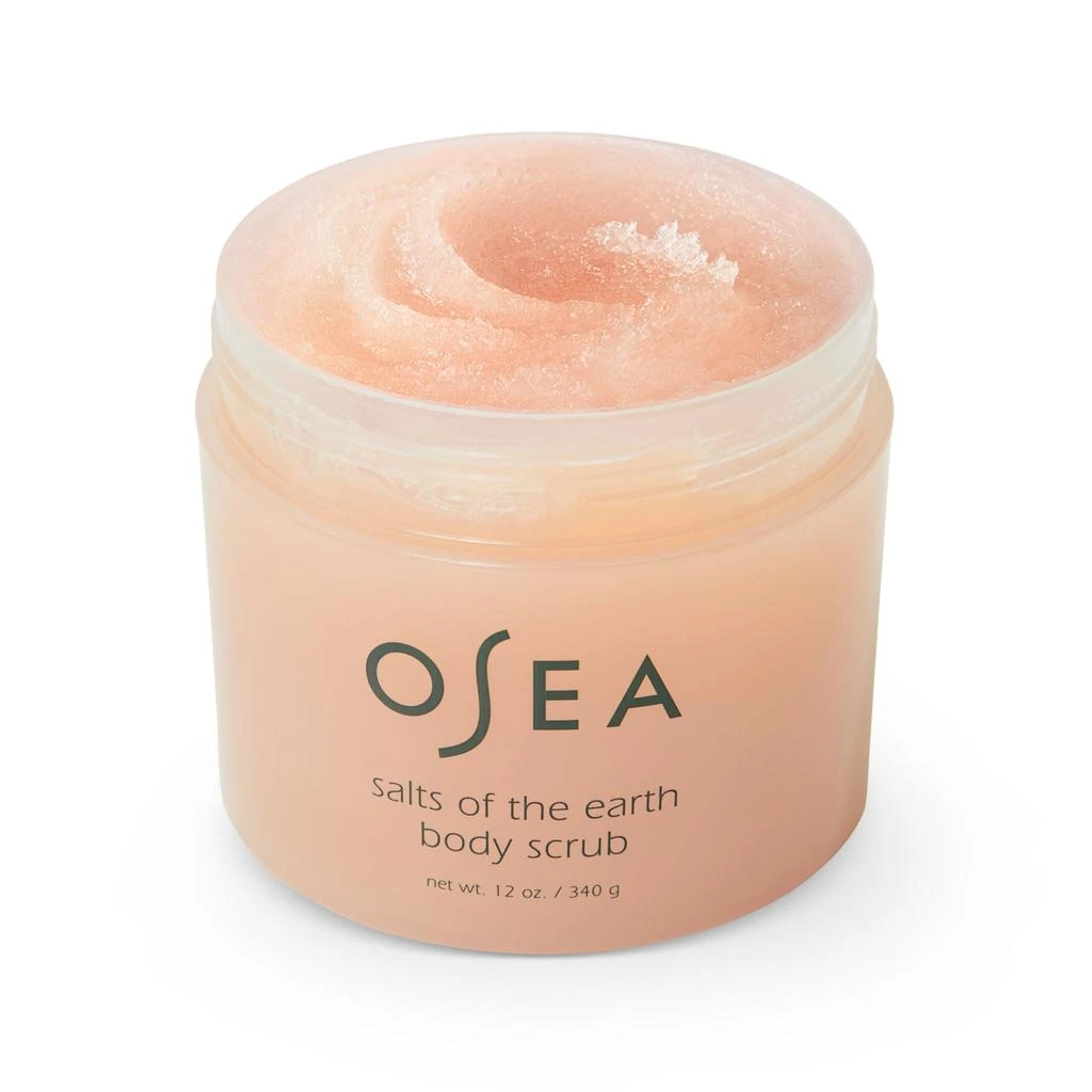 商品OSEA|Salts of the Earth Body Scrub,价格¥362,第3张图片详细描述