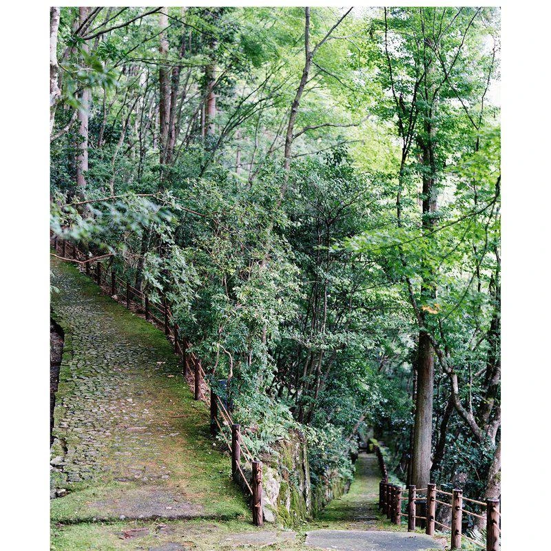 商品Catherine Mead|Pathways 11x14" Print 11" X 14"/PRINT ONLY,价格¥2206,第1张图片