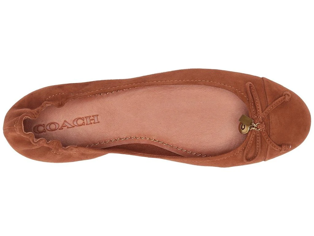 商品Coach|Franklin,价格¥309,第2张图片详细描述