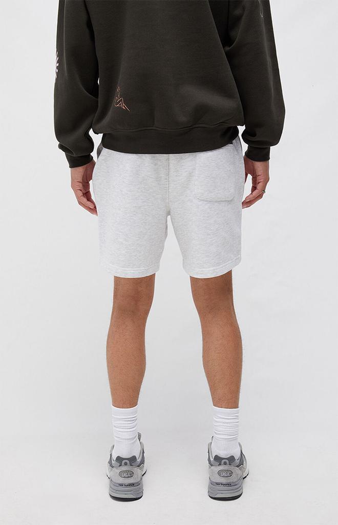 商品PacSun|White Heather Basic Fleece Sweat Shorts,价格¥183,第6张图片详细描述