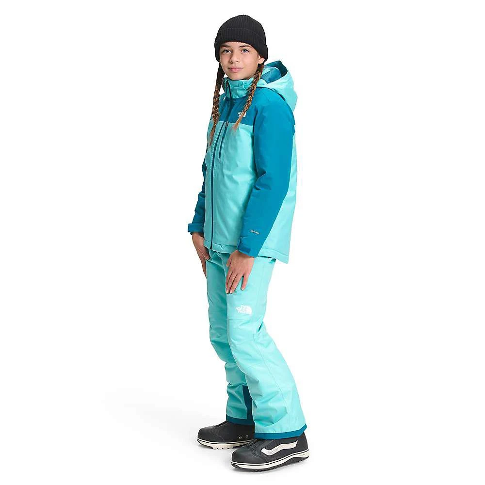 商品The North Face|The North Face Youth Snowquest Plus Insulated Jacket,价格¥679,第2张图片详细描述