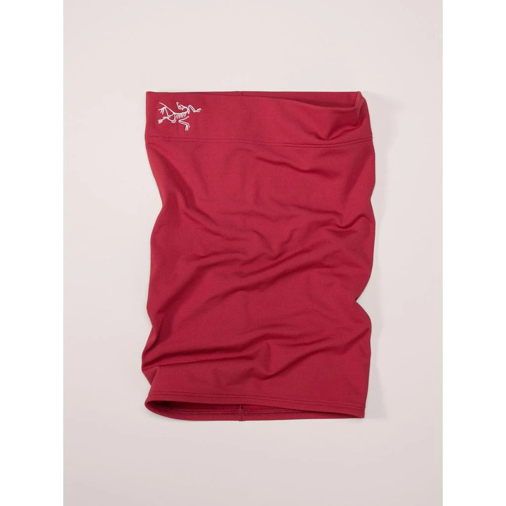 商品Arc'teryx|Arc'teryx Rho Neck Gaiter Long | Versatile Warm Microfleece Neck Gaiter,价格¥338,第2张图片详细描述