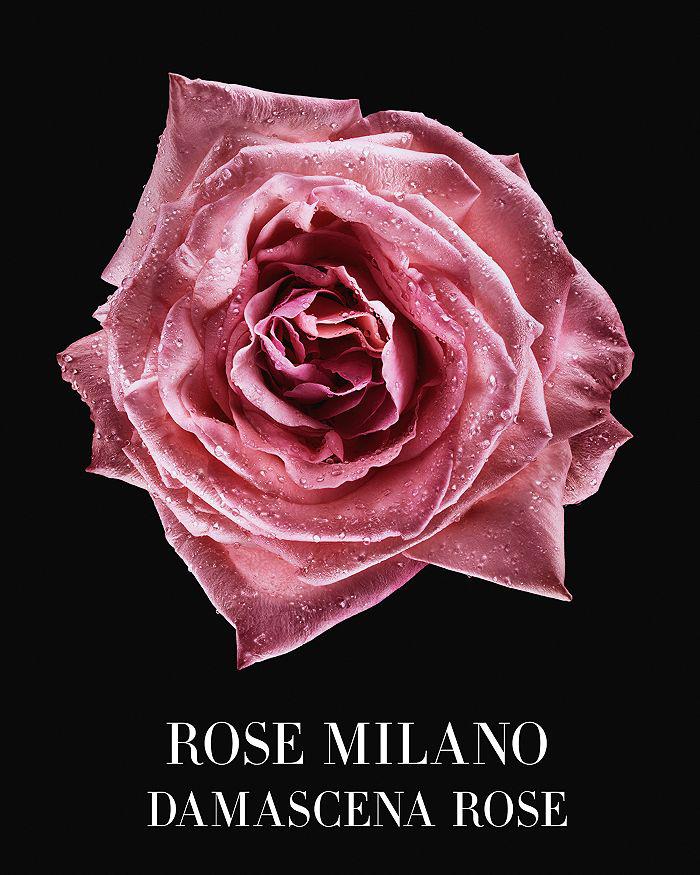 Rose Milano 3.4 oz.商品第5张图片规格展示