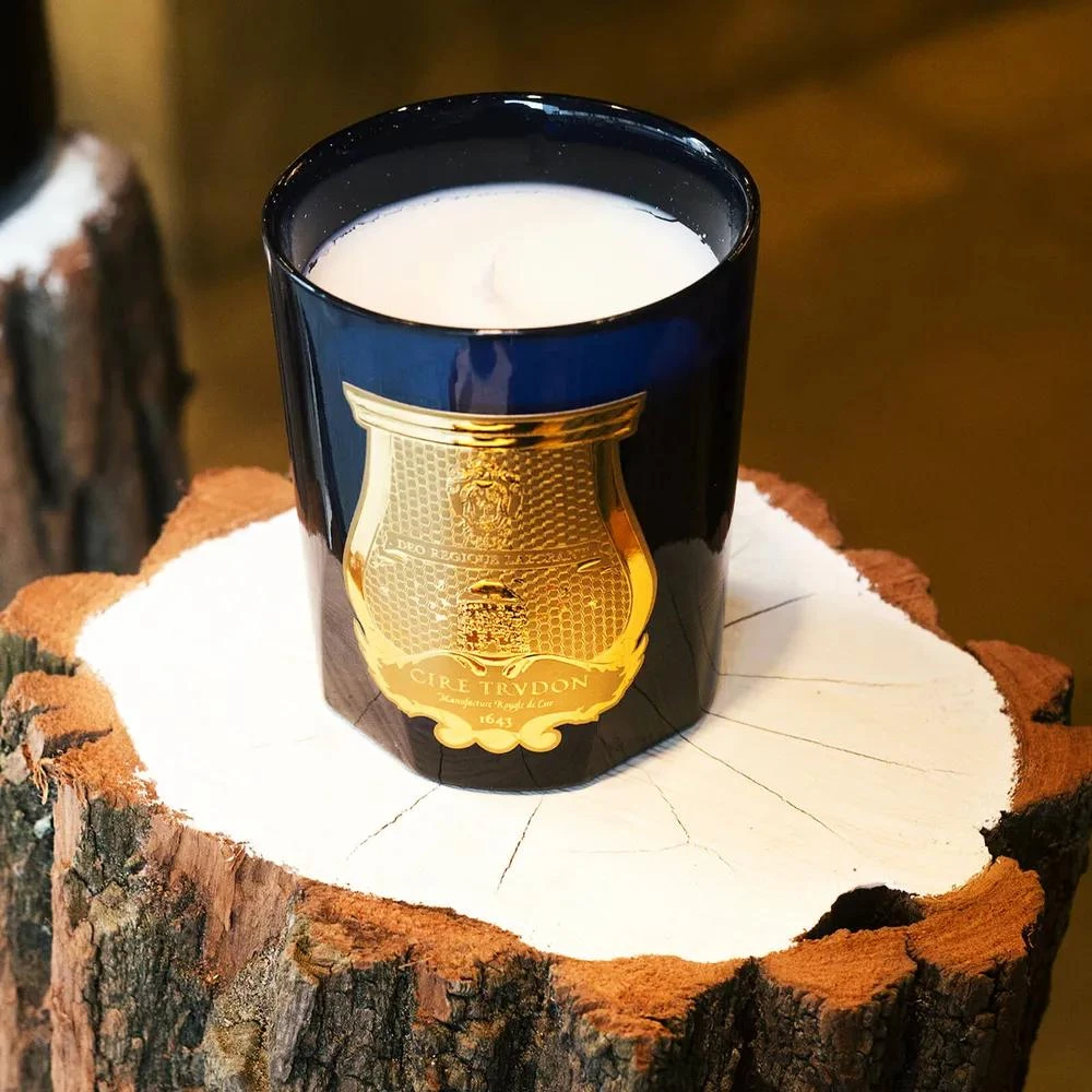 商品Cire Trudon|Salta 葡萄柚 270克,价格¥379,第3张图片详细描述