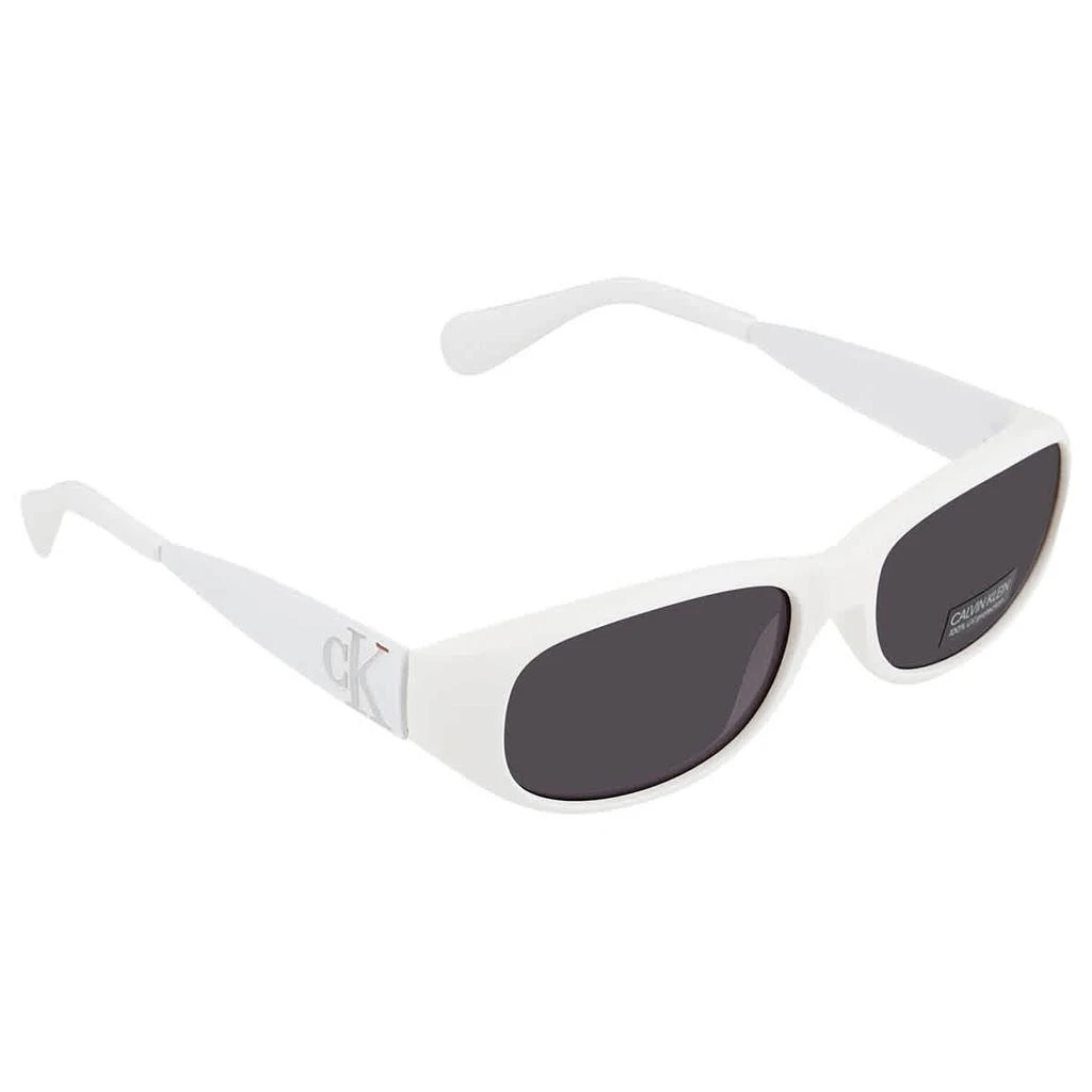 商品Calvin Klein|Calvin Klein Grey Oval Unisex Sunglasses CK21516S 104 55,价格¥157,第1张图片