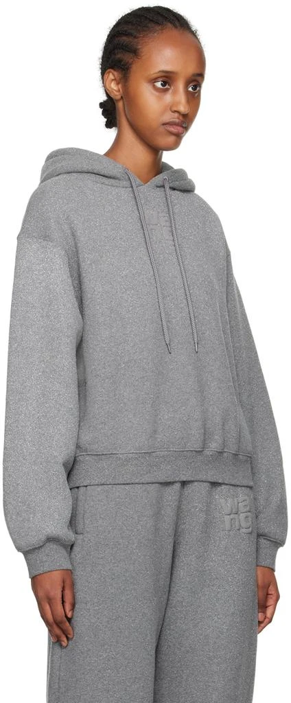 商品Alexander Wang|Gray Glitter Hoodie,价格¥1442,第2张图片详细描述