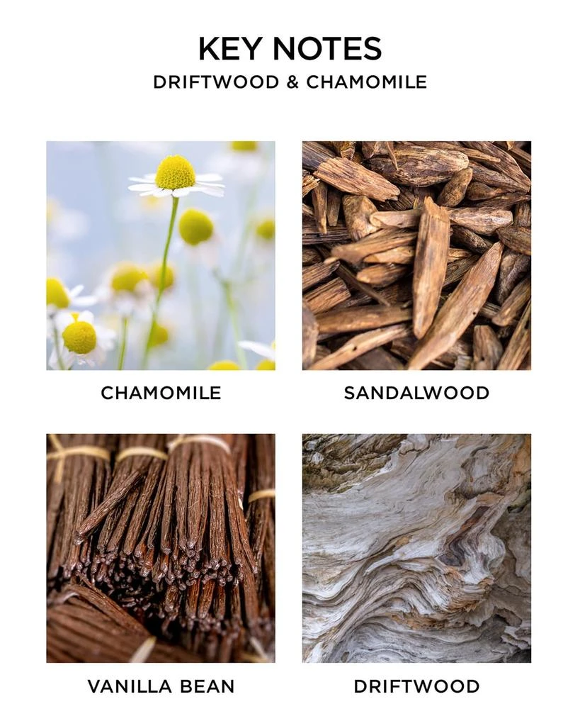 商品NEST New York|Driftwood & Chamomile Luxury Candle, 43.7 oz.,价格¥1484,第3张图片详细描述
