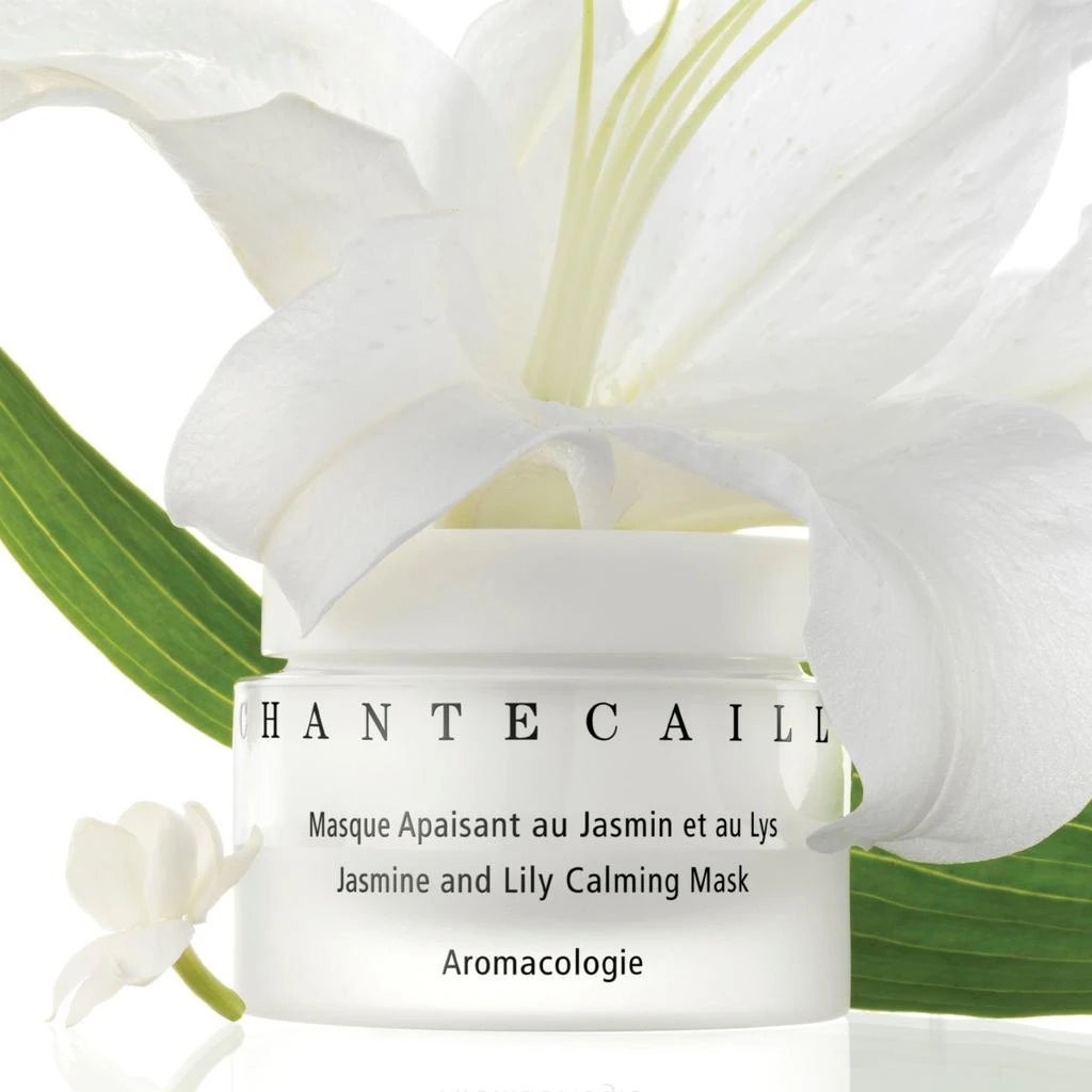 商品Chantecaille|Chantecaille Jasmine and Lily Calming Mask 50ml,价格¥871,第3张图片详细描述