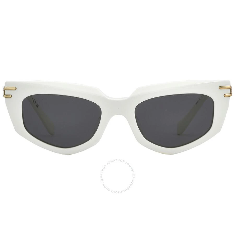 商品Miu Miu|Dark Gray Cat Eye Ladies Sunglasses MU 12WS 1425S0 51,价格¥1518,第1张图片