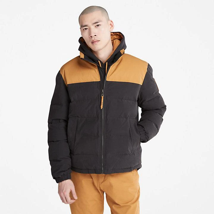 商品Timberland|Welch Mountain Puffer Jacket for Men in Black,价格¥1657,第1张图片