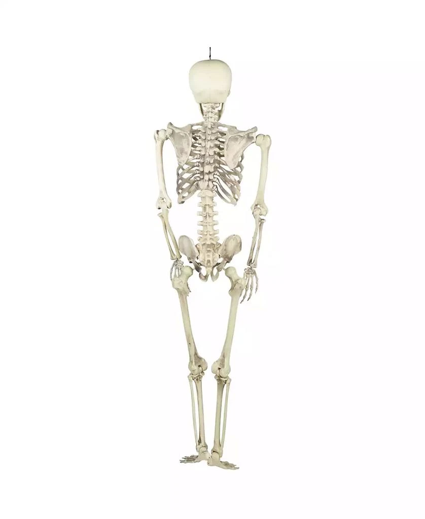 商品Northlight|Life Size Skeleton Halloween Decoration, 5',价格¥837,第3张图片详细描述