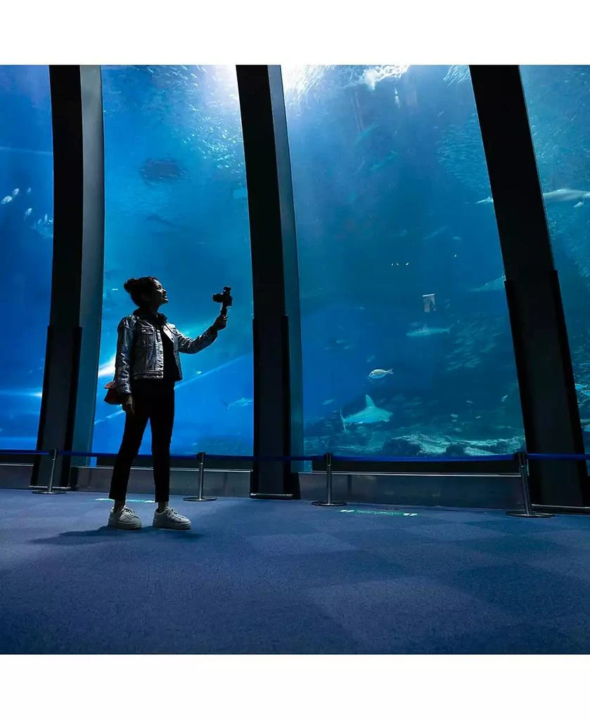 商品SONY|Creator Accessory Kit II with Shooting Grip/Tripod and Vlogger Shotgun Microphone,价格¥1893,第4张图片详细描述