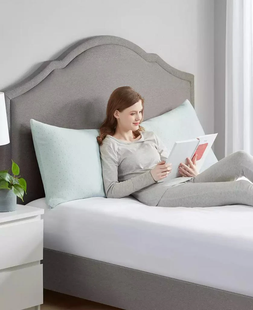 商品Sleep Philosophy|Rayon from Bamboo Shredded Memory Foam Pillow,价格¥512,第4张图片详细描述