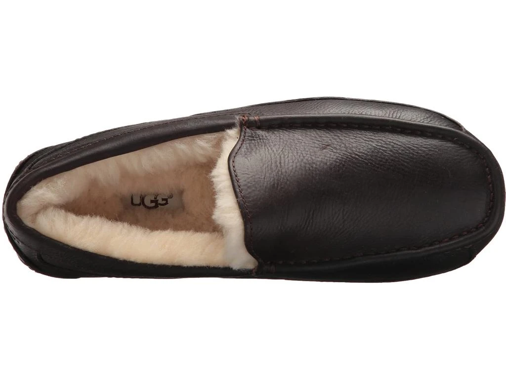 商品UGG|Wide Ascot,价格¥917,第2张图片详细描述