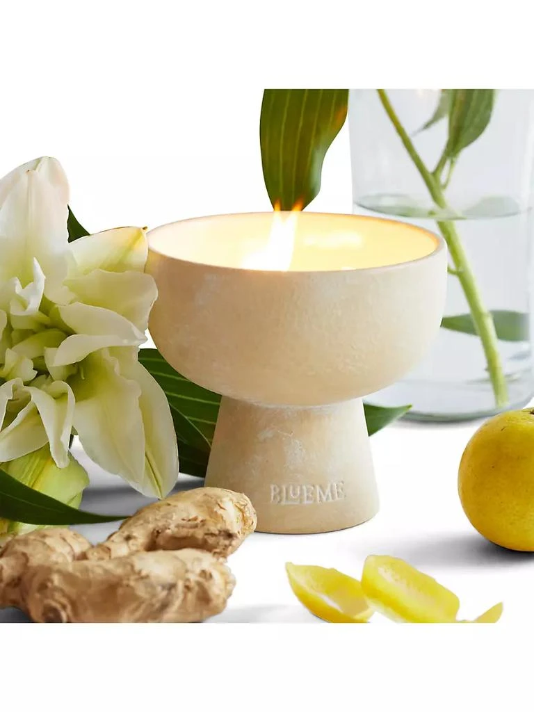 商品Blueme|Happiness Yuzu & Ginger Medium Ceramic Candle,价格¥490,第2张图片详细描述