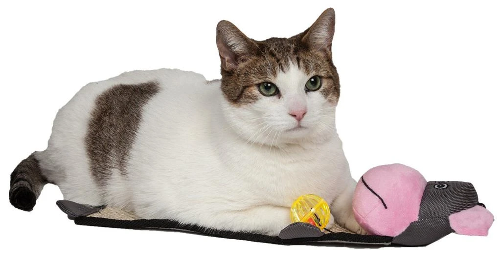 商品Pet Life|'Paw-Pleasant' Hanging Sisal & Jute Carpet Kitty Cat Scratcher with Toy,价格¥95,第4张图片详细描述