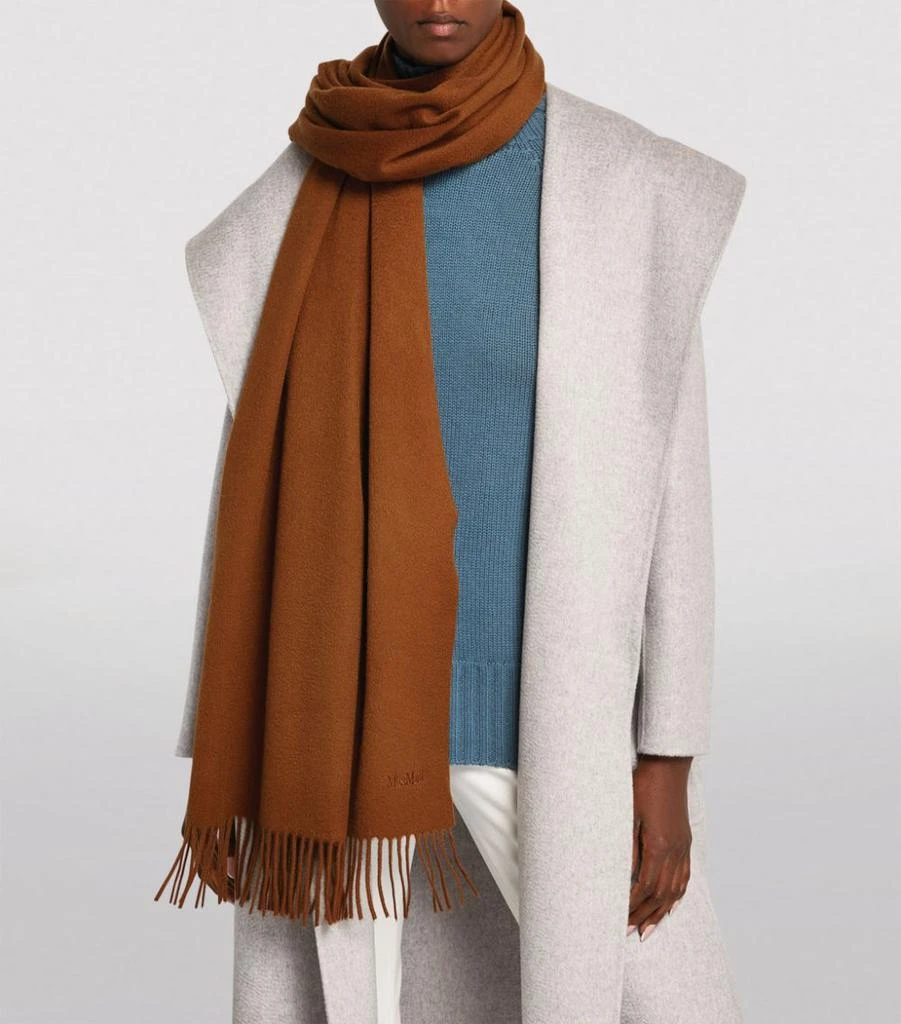 商品Max Mara|Cashmere Fringed Scarf,价格¥6013,第5张图片详细描述