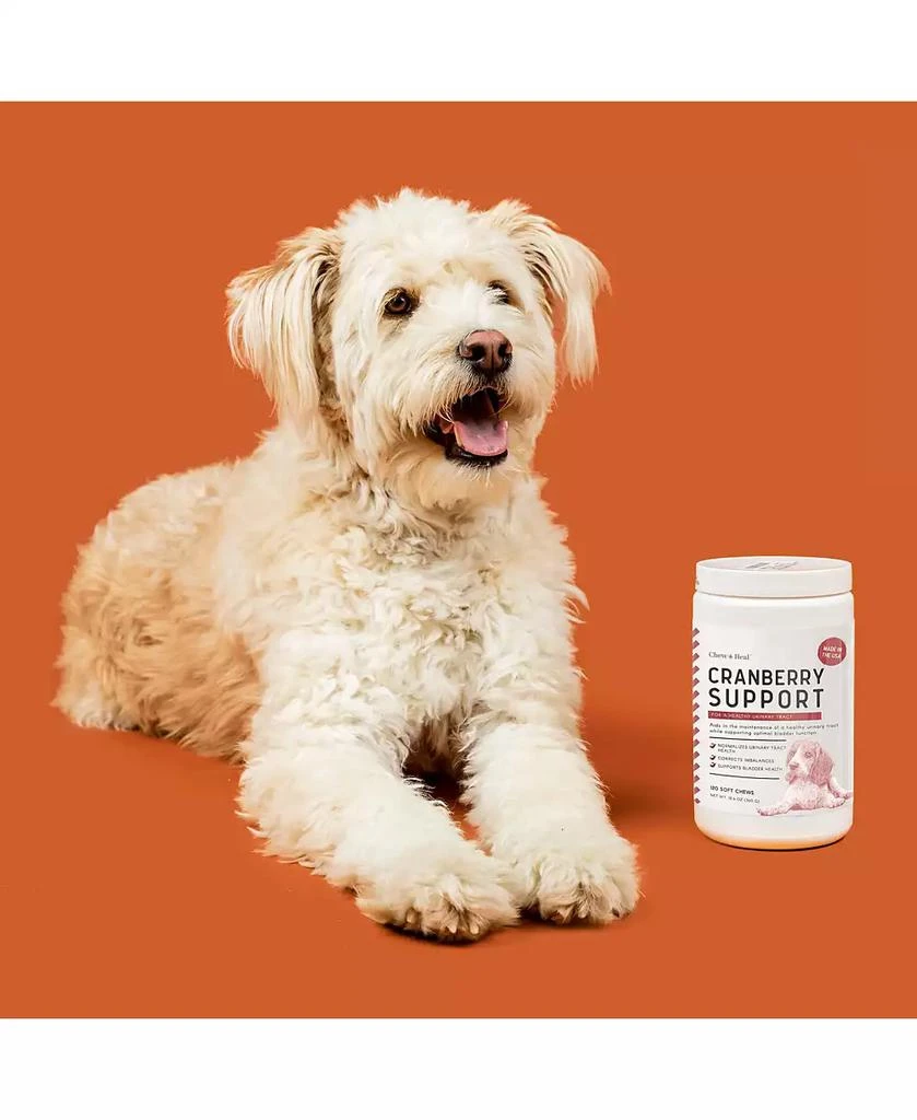 商品Chew + Heal|Cranberry Urinary Health Supplement for Dogs - 120 Delicious Chews,价格¥209,第3张图片详细描述