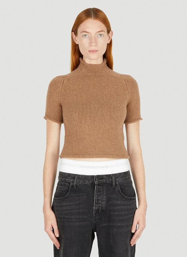 商品Alexander Wang|Compact Knit Top in Brown,价格¥1718,第1张图片