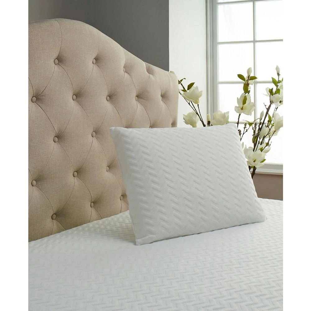 商品Carpenter Co.|Comfort Tech Serene Foam Traditional Pillow,价格¥912,第1张图片