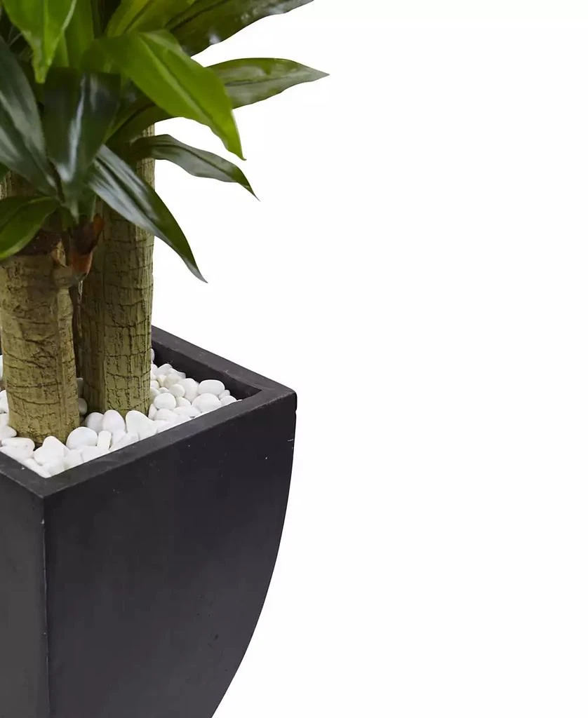 商品NEARLY NATURAL|5.5' Corn Stalk Dracaena Artificial Plant in Black-Washed Planter,价格¥2391,第2张图片详细描述