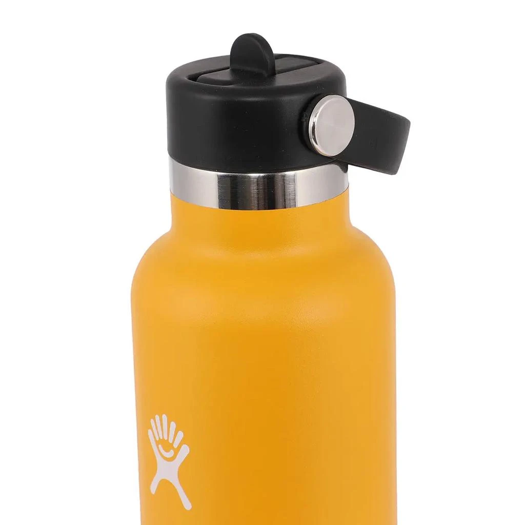 Hydro Flask Standard Flex Straw Cap Standard Mouth 24 oz Water Bottle 商品